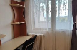 Garsoniera decomandata, balcon, pet friendly, 30 mp, zona Expo Transilvania
