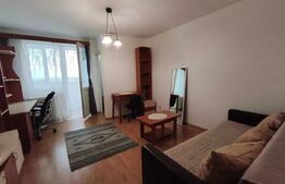 Garsoniera decomandata, balcon, pet friendly, 30 mp, zona Expo Transilvania