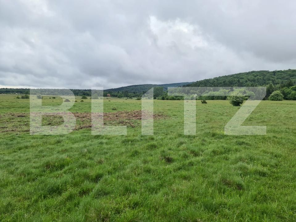 Teren de vânzare Berivoi - 205118TV | BLITZ Brașov | Poza5