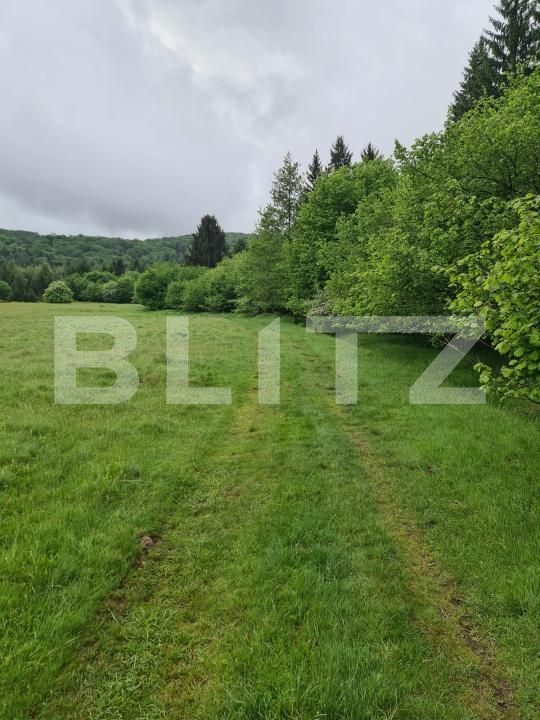 Teren de vânzare Berivoi - 205118TV | BLITZ Brașov | Poza6
