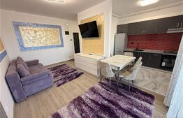 Apartament 2 camere , Intermediar , garaj  , 43 mp , Zona Cetatii