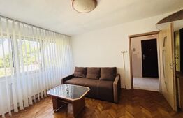 Apartament 2 camere, 48 mp, pet-friendly, zona Astra
