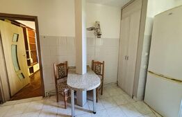 Apartament 2 camere, 48 mp, pet-friendly, zona Astra