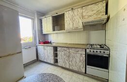 Apartament 2 camere, etaj intermediar, pet-friendly | Astra