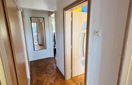 Apartament 2 camere, etaj intermediar, pet-friendly | Astra