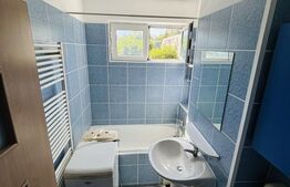 Apartament 2 camere, etaj intermediar, pet-friendly | Astra