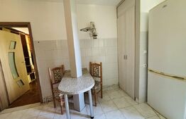 Apartament 2 camere, 48 mp, pet-friendly, zona Astra