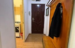 Apartament 2 camere, 56 mp, zona Gemenii
