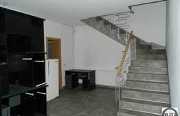 Spatiu de birouri in imobil de tip duplex, 360 mp, aproape de autogara Fany