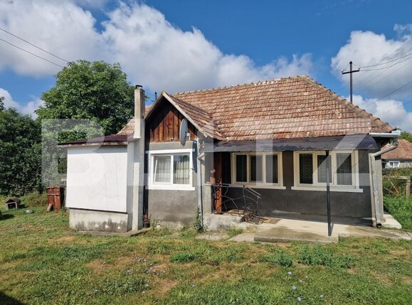 Casa de vânzare 2 camere Iclod - 205170CV | BLITZ Cluj-Napoca | Poza1
