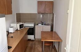 Apartament 1 cameră | Ultracentral | Piața Muzeului 