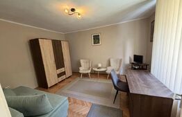 Apartament 1 cameră | Ultracentral | Piața Muzeului 