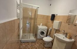 Apartament 1 cameră | Ultracentral | Piața Muzeului 