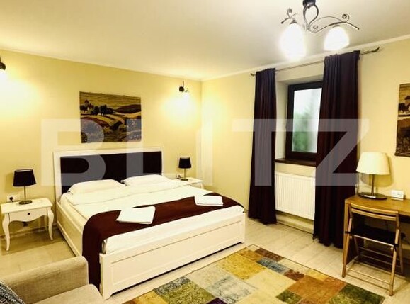 Garsonieră de vânzare Centrul Istoric - 205256AV | BLITZ Brașov | Poza2