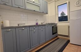 Apartament 2 camere | Gemenii| etaj intermediar 