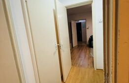 Apartament 2 camere | Gemenii| etaj intermediar 