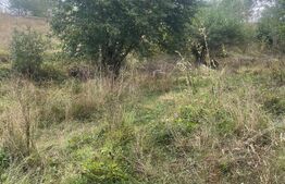 Teren intravilan, 1.180 mp, zona Pietroasa, com. Moldovenesti