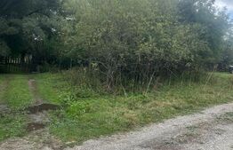 Teren intravilan, 1.180 mp, zona Pietroasa, com. Moldovenesti