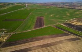 Teren de vanzare, 8.000 mp, zona Copaceni 