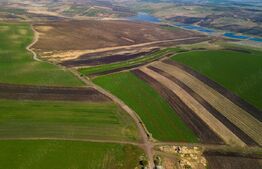 Teren de vanzare, 8.000 mp, zona Copaceni 