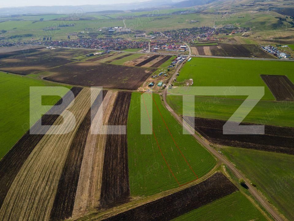 Teren de vânzare Copaceni - 205308TV | BLITZ Cluj-Napoca | Poza3