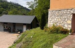 Casa de vanzare, 252 mp, 1809 mp teren, zona Ocolis