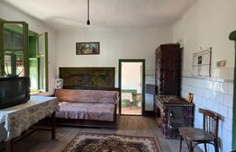Casa individuala, 173 mp, teren 1687 mp, zona Coltesti, Exclusivitate