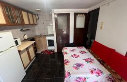 Garsoniera de inchiriat, 35 mp, pet friendly, zona Zorilor - UMF