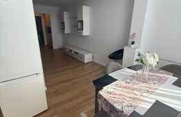 Garsoniera de vanzare, 32 mp, zona Marasti