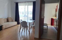 Apartament 1 camera, 40 mp, zona Manastur