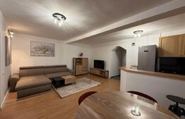 Apartament 2 camere, pet friendly, zona Semicentral,Facultatea de litere