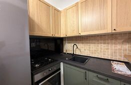 Apartament 2 camere semidecomandat/pet friendly/Facultatea de Litere
