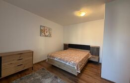 Apartament 2 camere semidecomandat/pet friendly/Facultatea de Litere