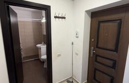 Garsoniera de inchiriat, 40 mp, zona Sânpetru