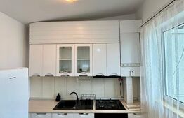 Apartament 2 camere, modern, pet friendly, zona Grigorescu