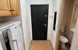 Garsonieră renovată, 28 mp, balcon, zona BIG Mănăștur