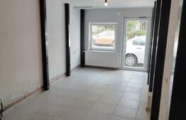 Spatiu comercial, 24 mp, str. Dambovitei