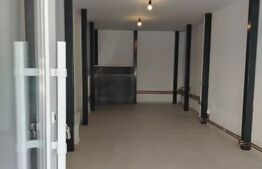 Spatiu comercial, 24 mp, str. Dambovitei