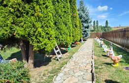 Vâlcele - Casă cu 6 dormitoare | Teren 4.431 mp | Fotovoltaice
