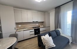 Apartament 2 camere, 40 mp, zona Eroilor