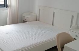 Apartament  2 camere, 45 mp, zona Craiter