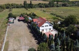 Teren 3.800 mp Vâlcele | Intravilan | E60 | Utilități | Parcelare