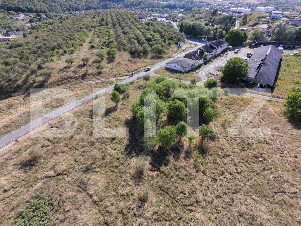 Teren de vânzare Baciu - 205668TV | BLITZ Cluj-Napoca | Poza4