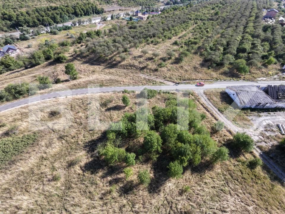 Teren de vânzare Baciu - 205668TV | BLITZ Cluj-Napoca | Poza3