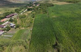 Casa de vabzare, 87 mp, 6.400 mp teren, zona Lujerdiu