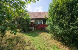 Casa de vabzare, 87 mp, 6.400 mp teren, zona Lujerdiu