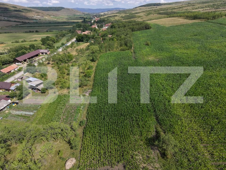 Casa de vânzare 3 camere Exterior Nord - 205671CV | BLITZ Cluj-Napoca | Poza3
