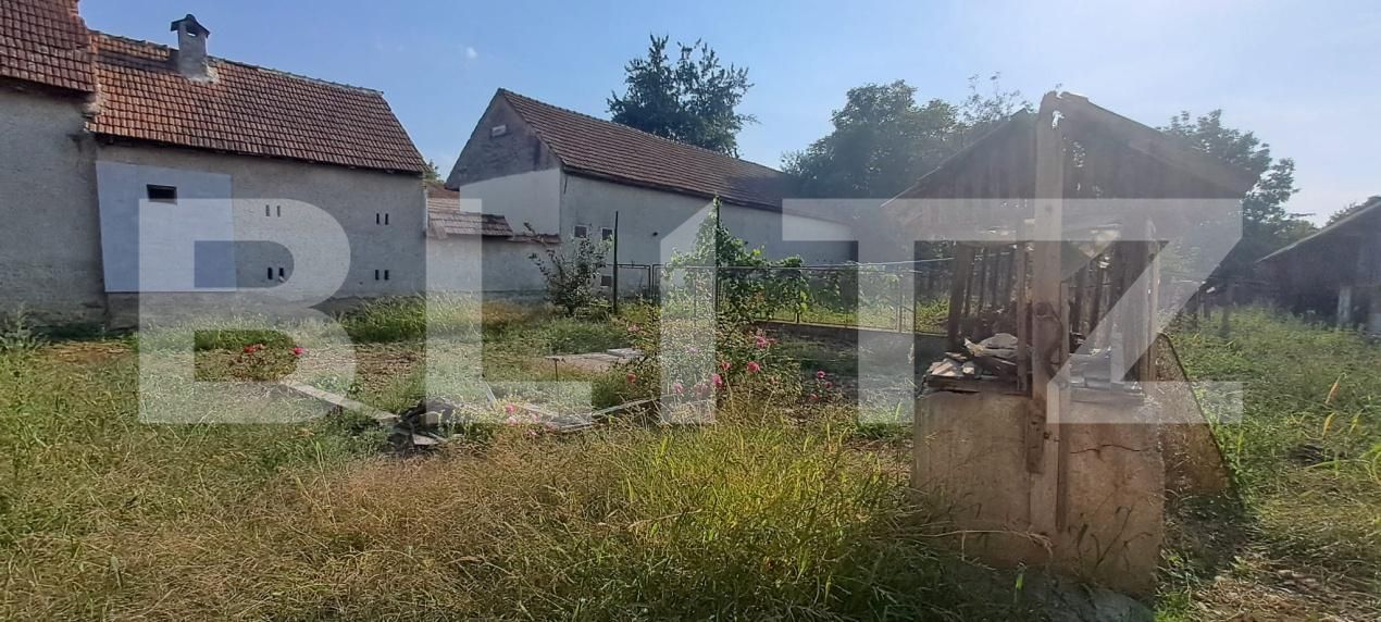 Casa de vânzare 4 camere Lisa - 205674CV | BLITZ Brașov | Poza15