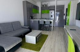 Apartament 2 camere, mobilat, utilat, Buna-Ziua