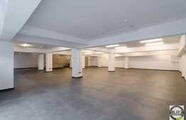 Open-space, 300 mp, 6 parcari incluse, zona Oncos